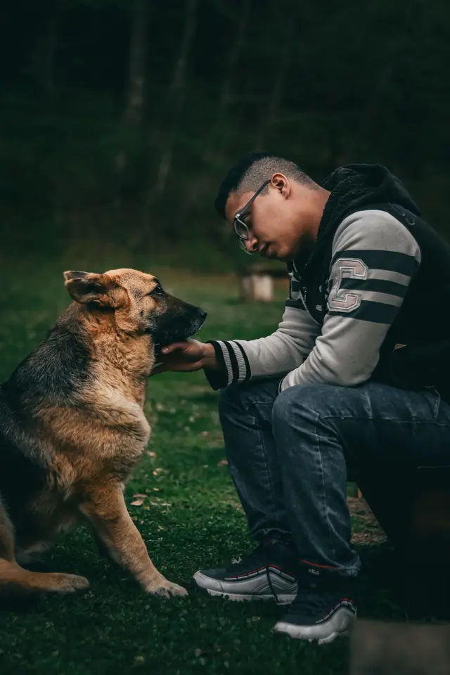 Handler crouching to greet a German Shepherd during a calm one-on-one session